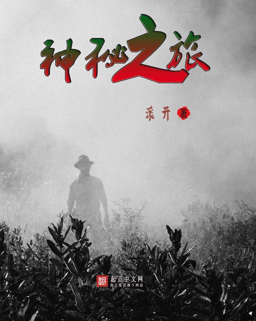 《神秘之旅》封面