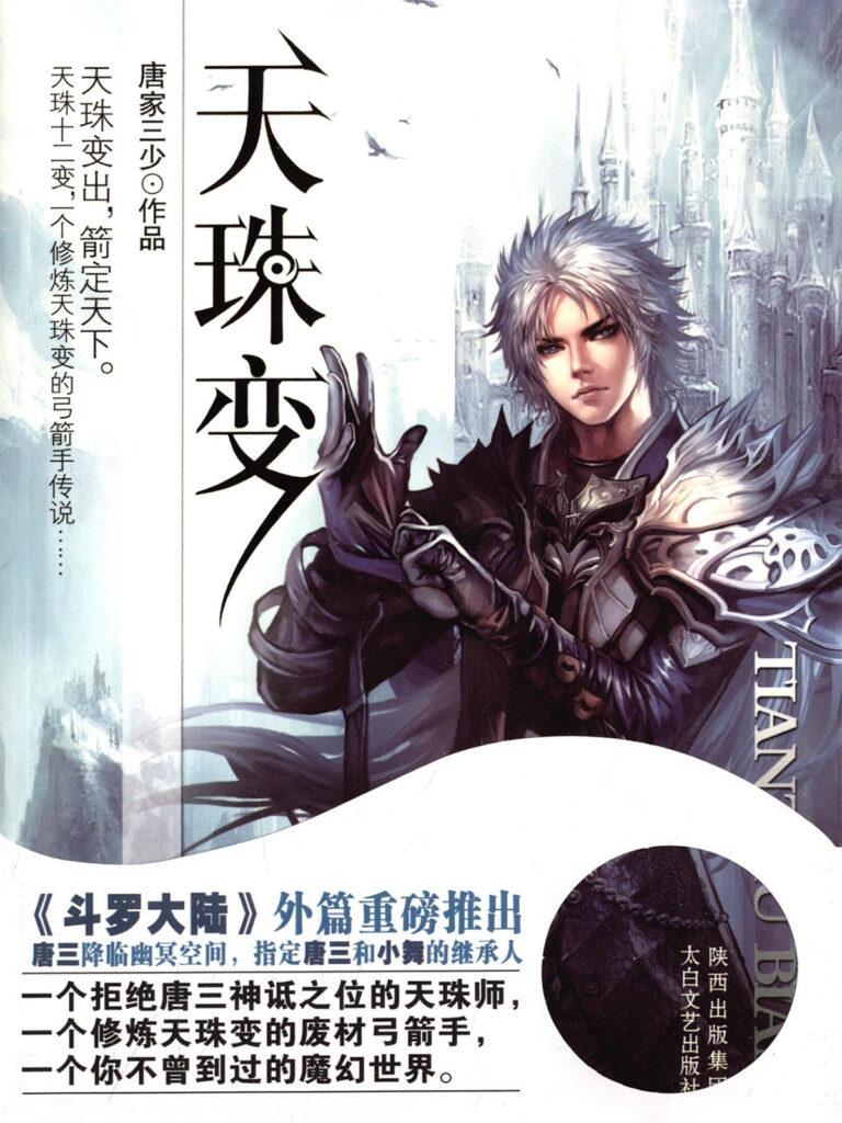 《天珠变》封面