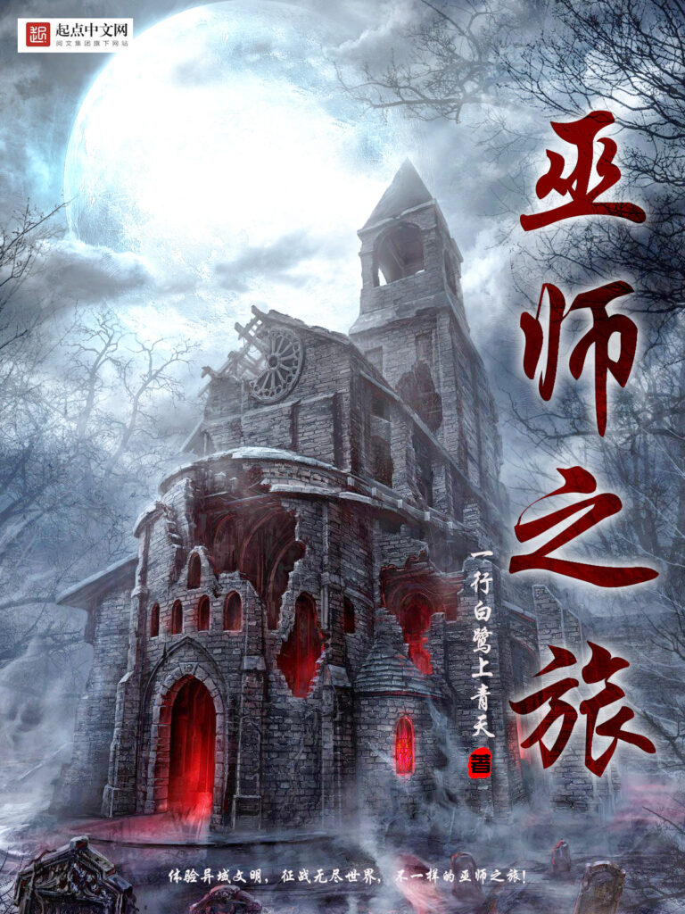 《巫师之旅》封面