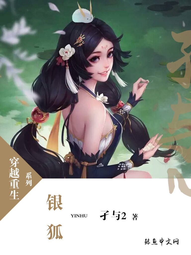 《银狐》封面
