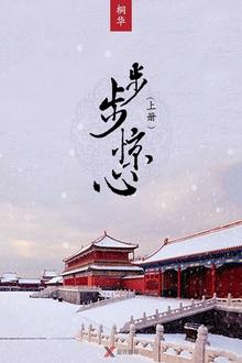 步步惊心-文渊书库 步步惊心-文渊书库