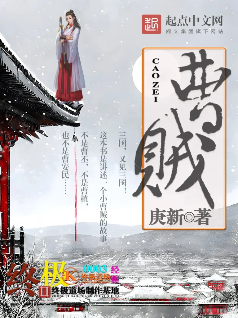 《曹贼》封面