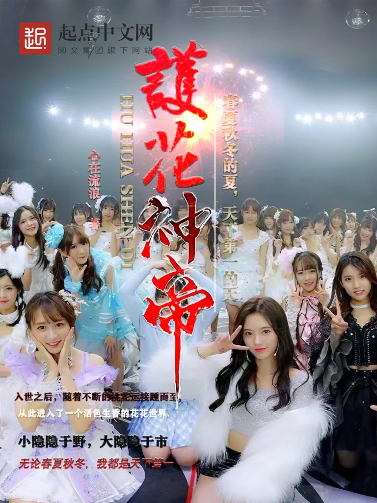 《护花神帝》封面