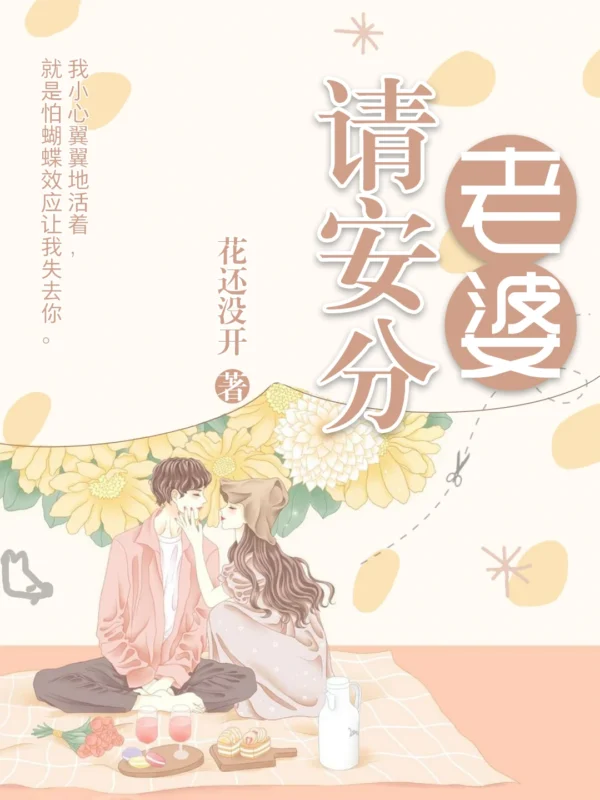 老婆请安分 封面