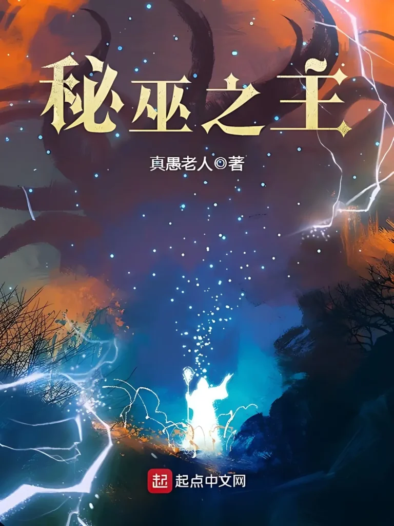 《秘巫之主》封面