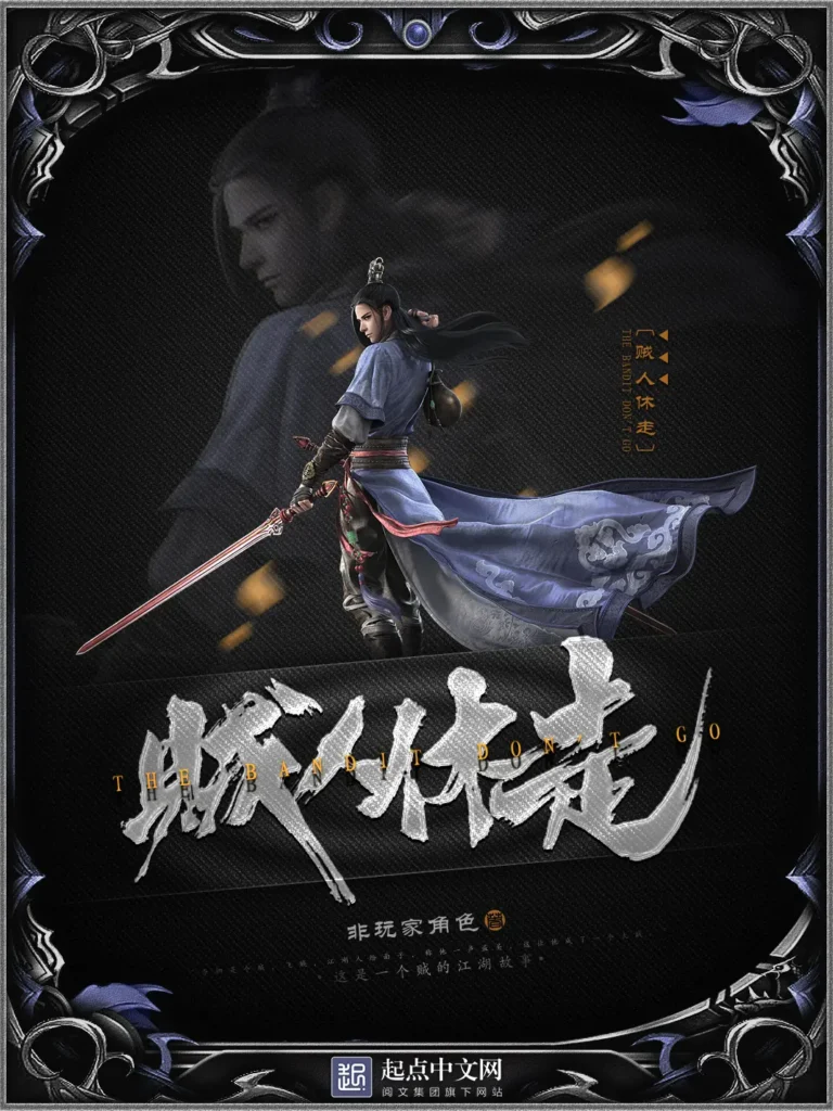 《贼人休走》封面