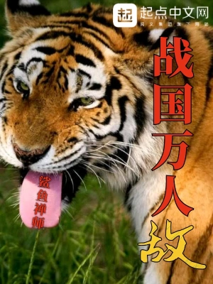 《战国万人敌》（校对版全书）作者：鲨鱼禅师 TXT 下载