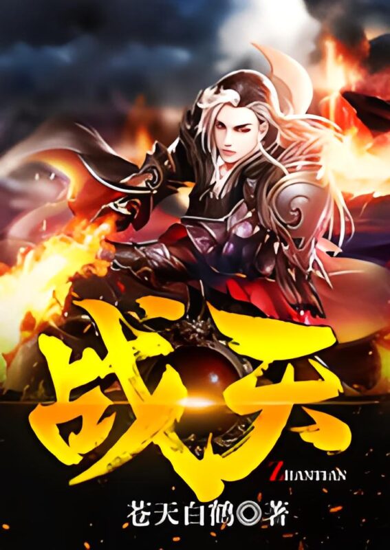 战天 封面