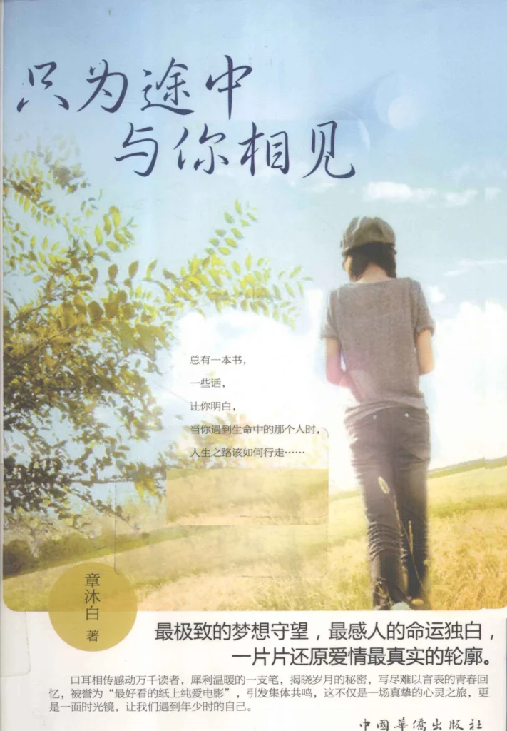 《只为途中与你相见》封面