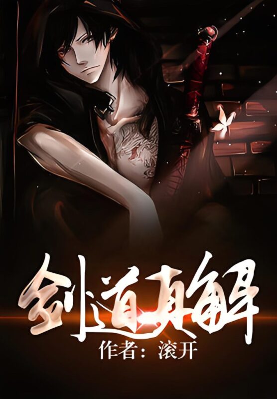 剑道真解 封面