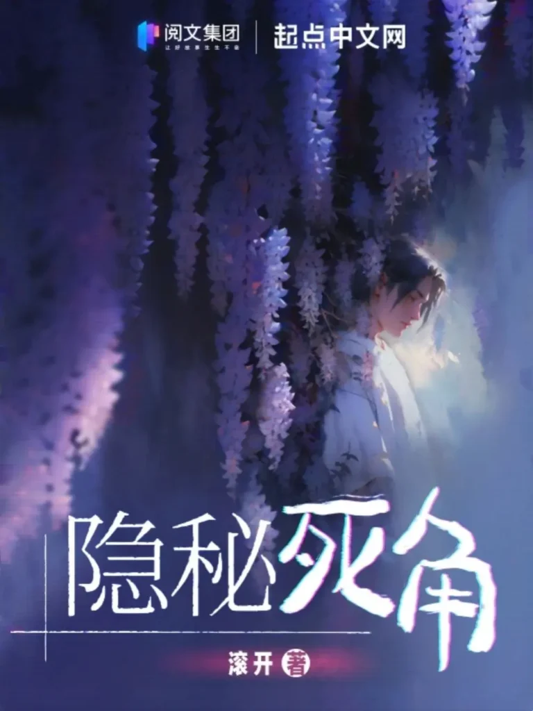 《隐秘死角》封面