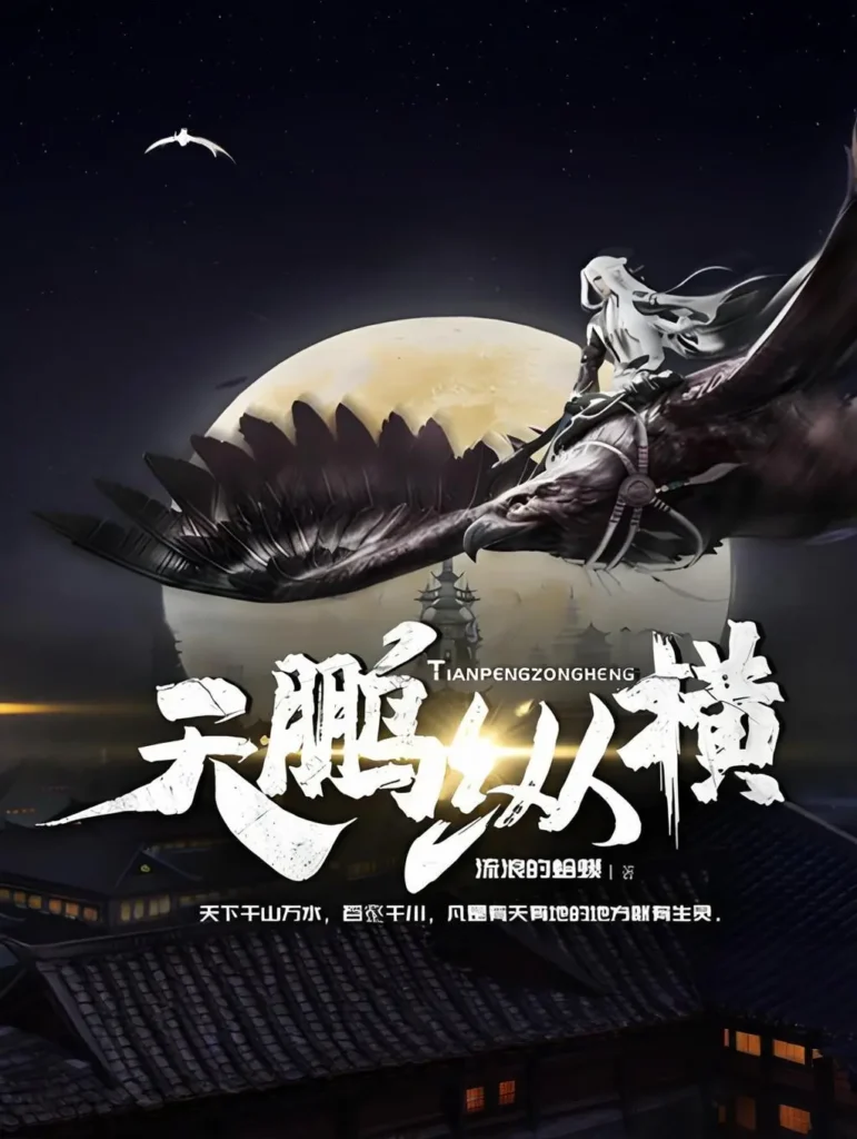 《天鹏纵横》封面