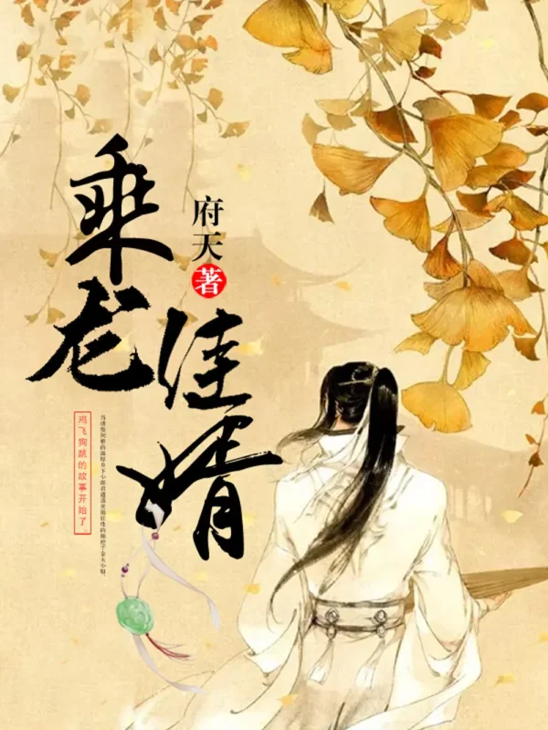 乘龙佳婿 封面