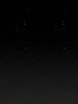 周周天的头像|文渊书库