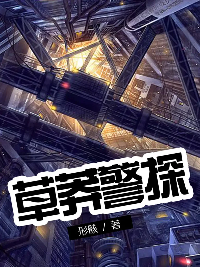 《草莽警探》封面