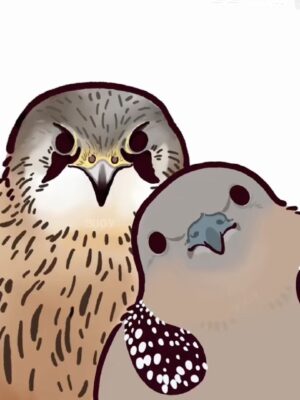 鸽子咕子鸽的头像|文渊书库