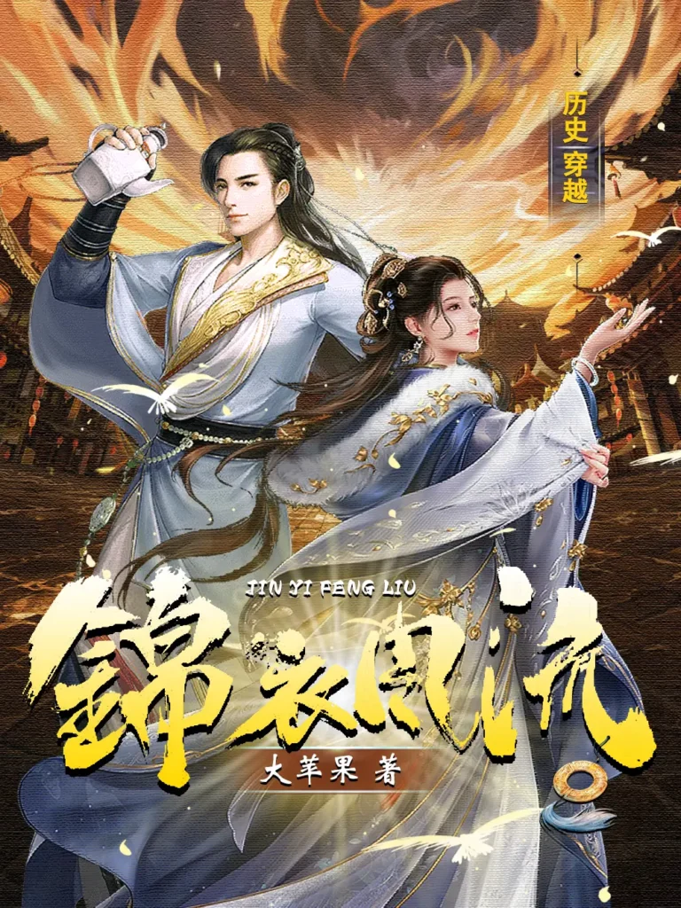 《锦衣风流〔精排〕》封面