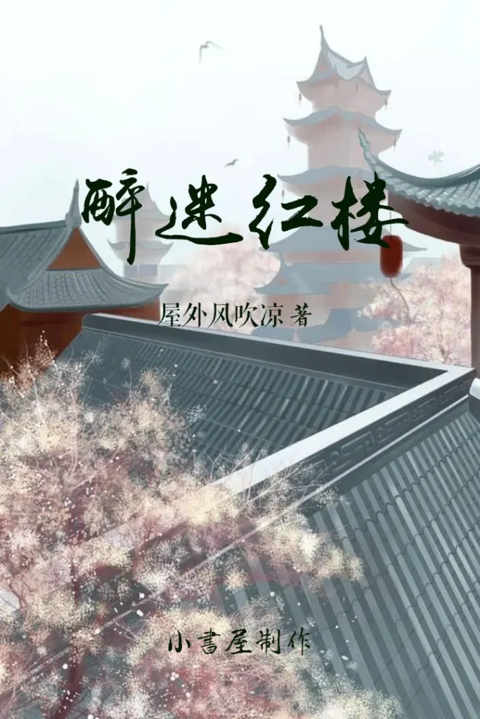 《醉迷红楼》封面