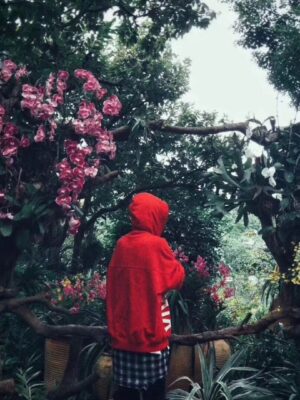 Heyst的头像|文渊书库