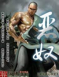 《恶奴》（校对版全书）作者：傲骨铁心 TXT 下载