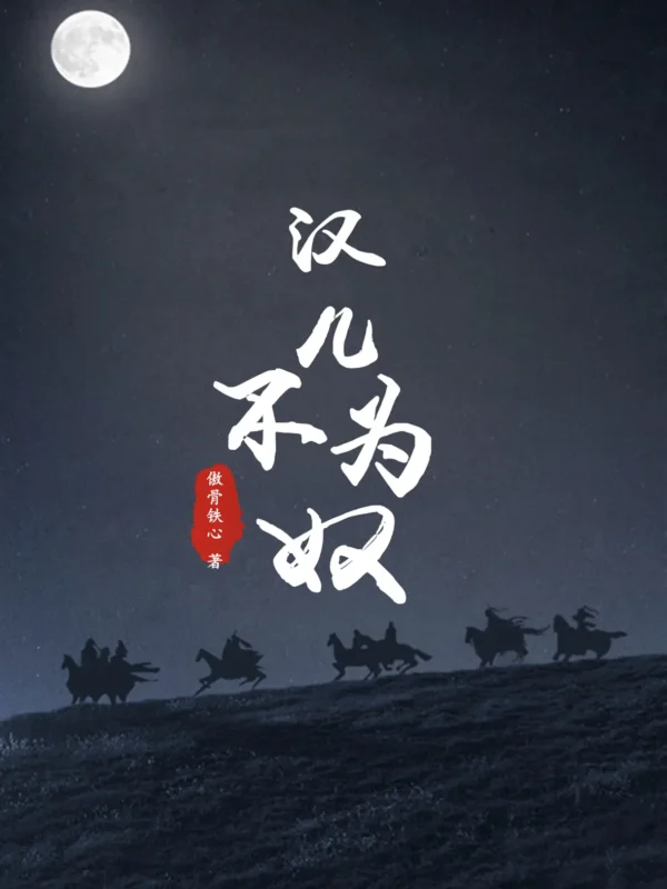 汉儿不为奴〔精排〕-文渊书库