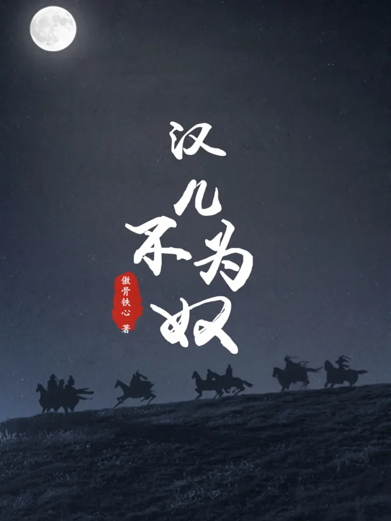 《汉儿不为奴〔精排〕》封面