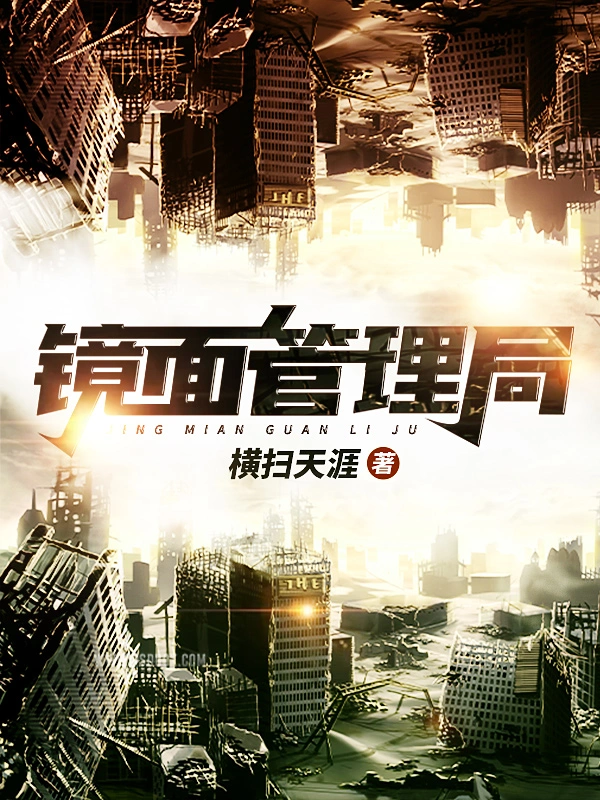 镜面管理局-文渊书库 镜面管理局-文渊书库