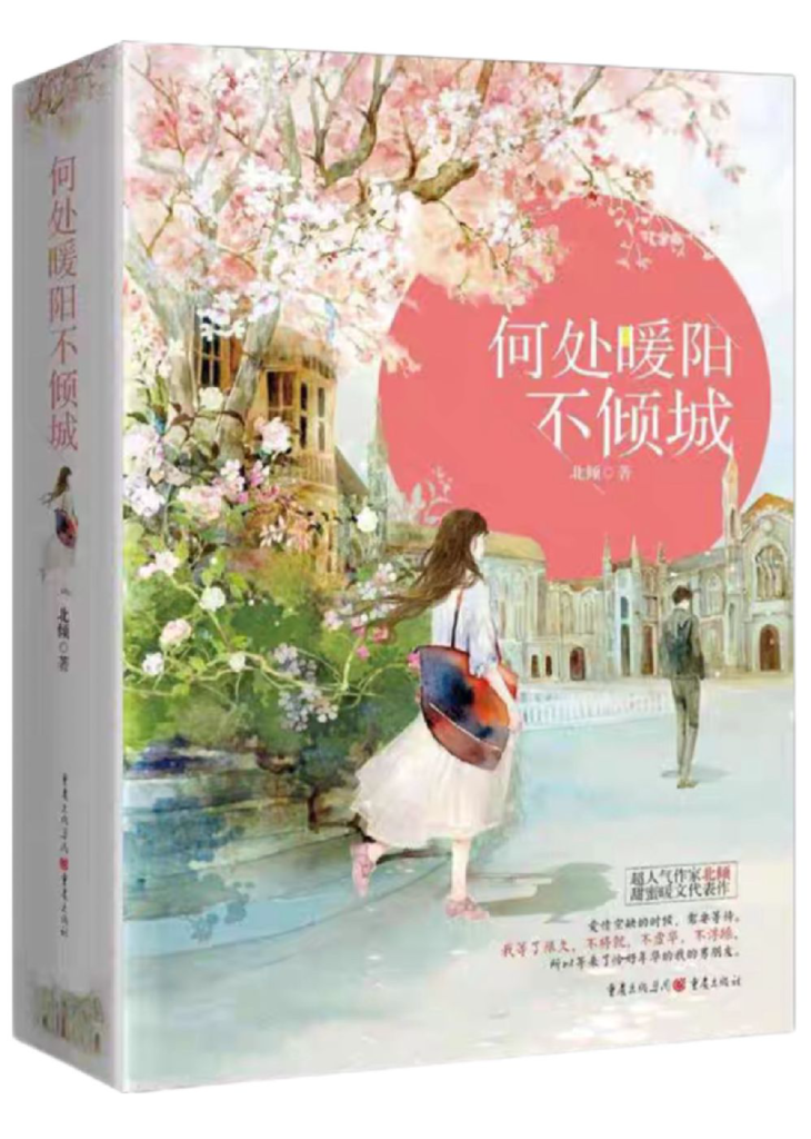 《何处暖阳不倾城》封面