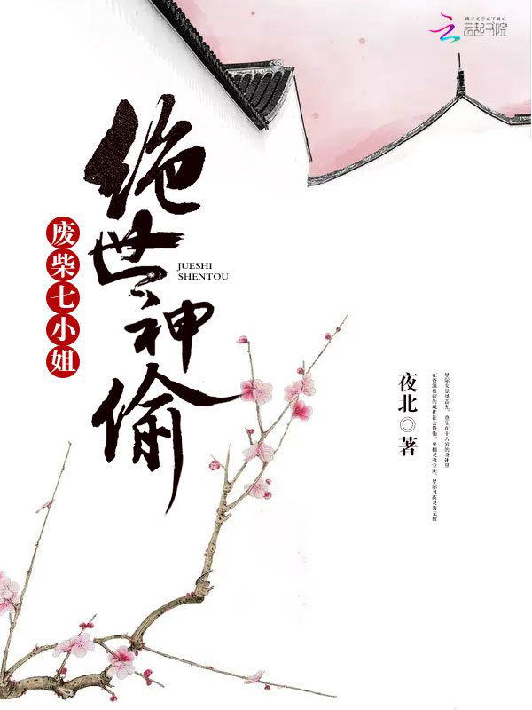 《绝世神偷：废柴七小姐》封面