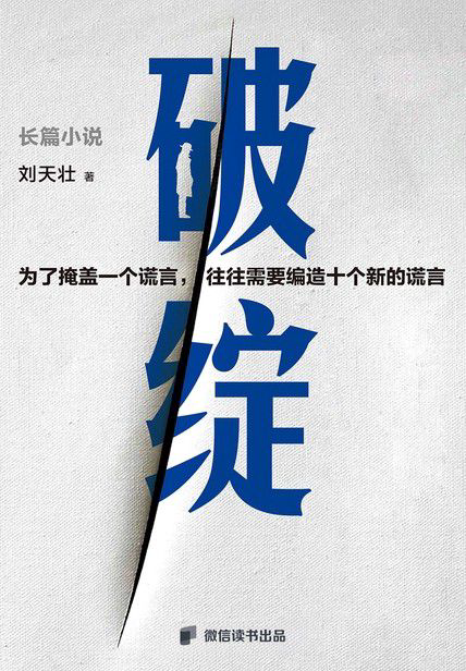 《破绽》封面