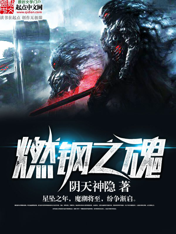 《燃钢之魂》封面