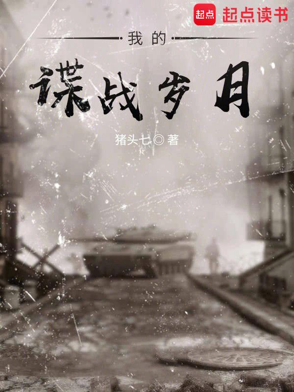 《我的谍战岁月》封面
