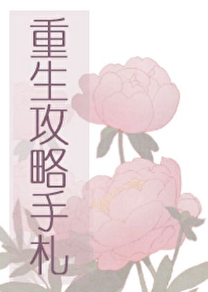 《重生攻略手札》封面