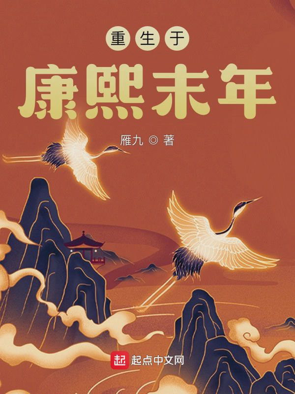 《重生于康熙末年》封面