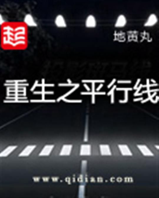 《重生之平行线》封面
